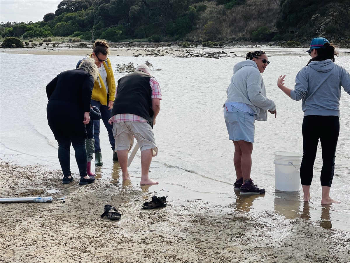 Pumping for Yabbies 11 - can you see one.jpg